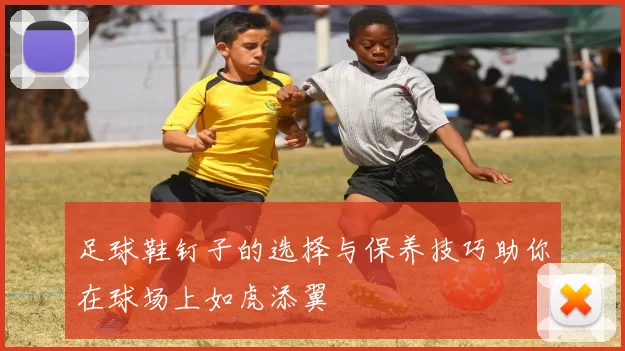 足球鞋钉子的选择与保养技巧助你在球场上如虎添翼