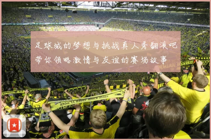 足球城的梦想与挑战真人秀翻滚吧带你领略激情与友谊的赛场故事