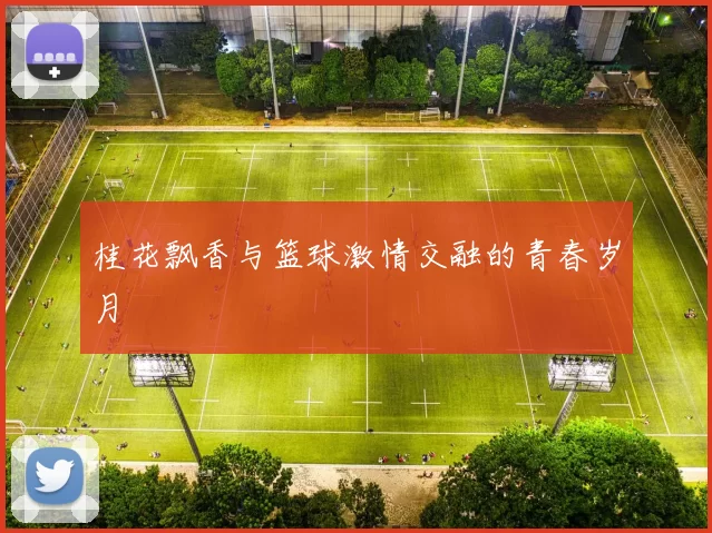 桂花飘香与篮球激情交融的青春岁月