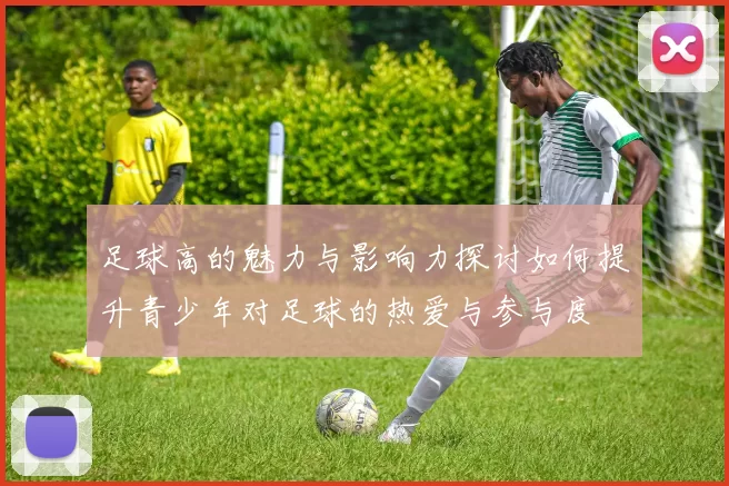 足球高的魅力与影响力探讨如何提升青少年对足球的热爱与参与度